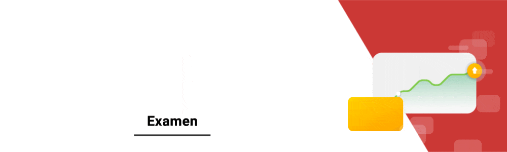 Examen FXGlobe Examen FXGlobe